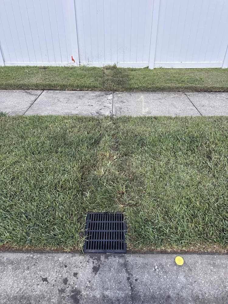 Restored lawn over a buried drain line with a flush grate at the curb