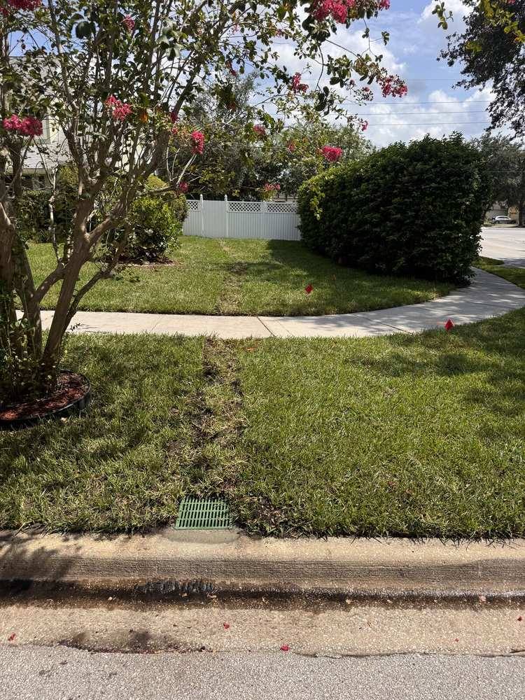 Finished front yard with healthy sod and a flush curb drain grate